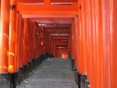 Tori gates Fushimi.JPG