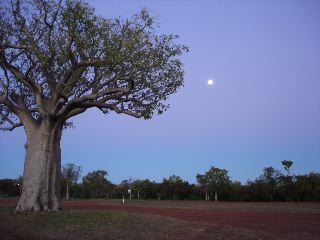 DSC01122_1