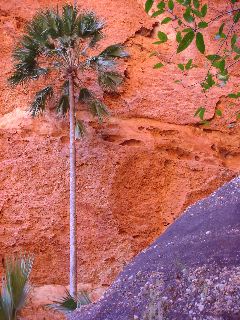 DSC01174_1