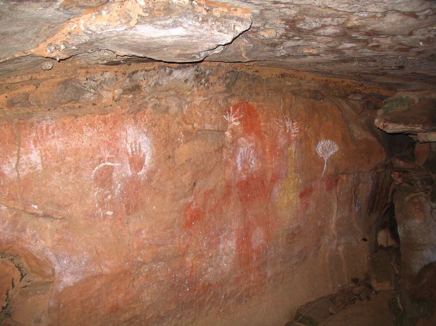 IMG_0229