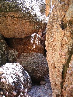 IMG_0175