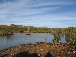IMG_0204