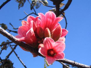 IMG_0288