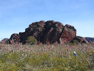 IMG_0090