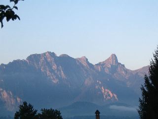 IMG_1241
