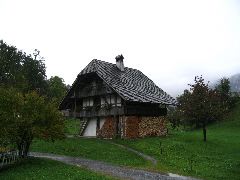 IMG_1288