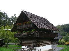 IMG_1290