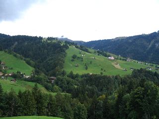 IMG_1509