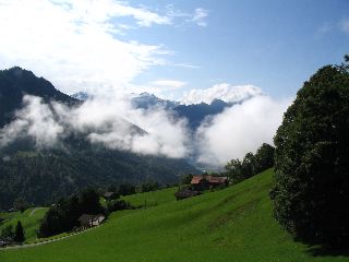 IMG_1506