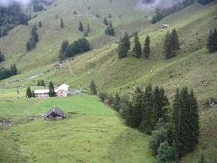 IMG_1268