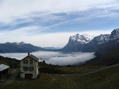 IMG_1547