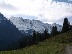 IMG_1436