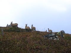 IMG_1523