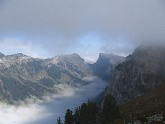 IMG_1524