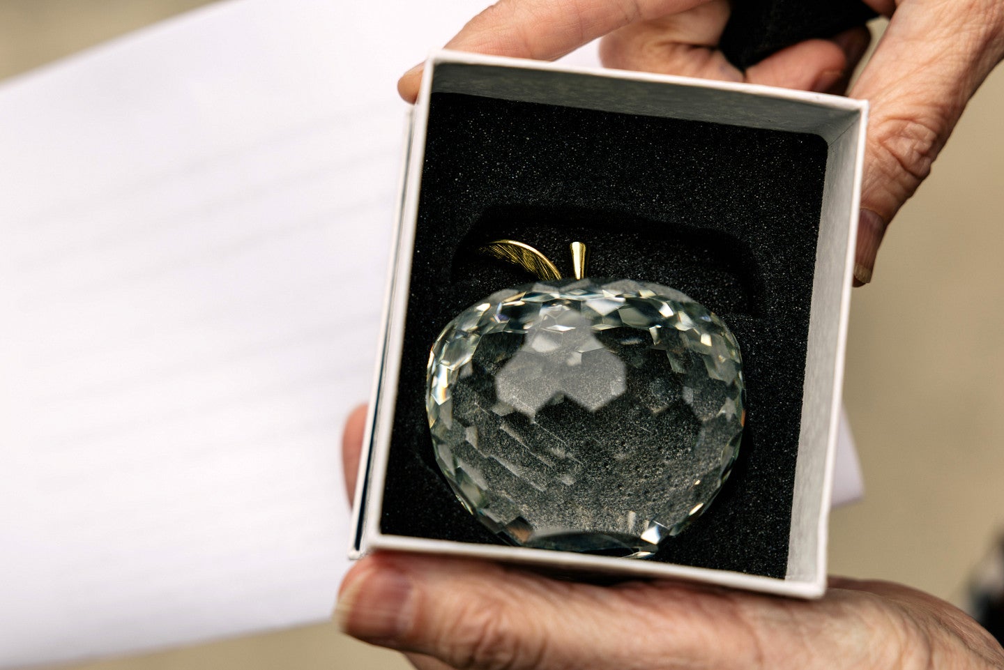 apple paperweight award for distinguished teaching