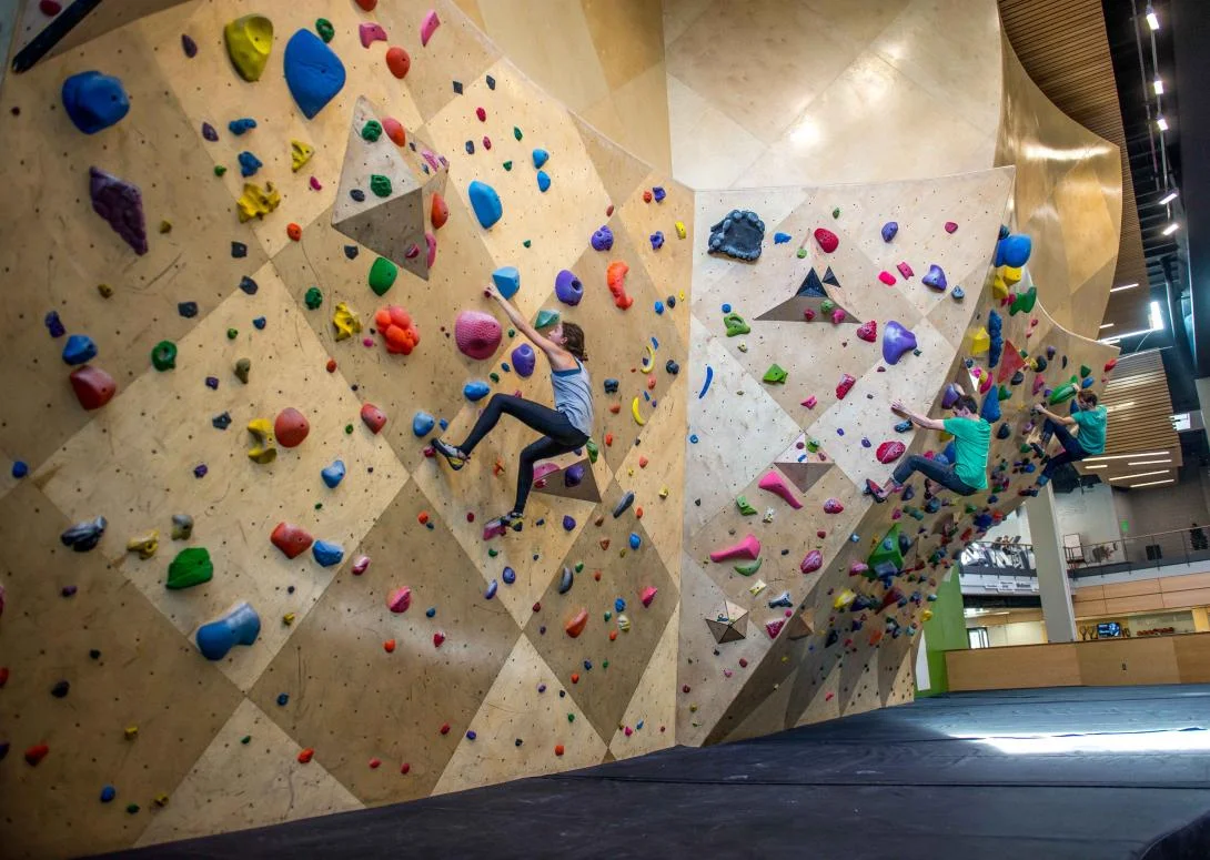 Bouldering Wall