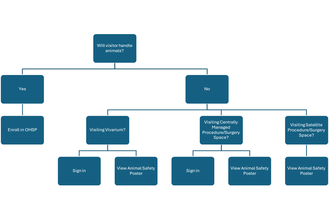 Figure 1. Flowchart of access requirements for visitors. Visitors that require animal handling permission must be enrolled in the Occupational Health and Safety Program (OHSP) through the Visiting Scientist Guidelines or through the OHSP onboarding. If no animal handling will take place, visitors may review the Animal Safety Poster and sign in based on the location that they are visiting.  