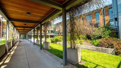A covered walkway beside a garden.