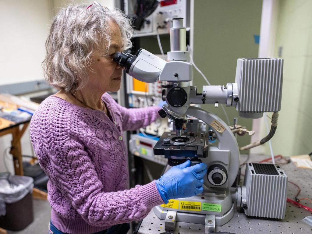 A woman looks into the viewfinder of a microscope in a lab.