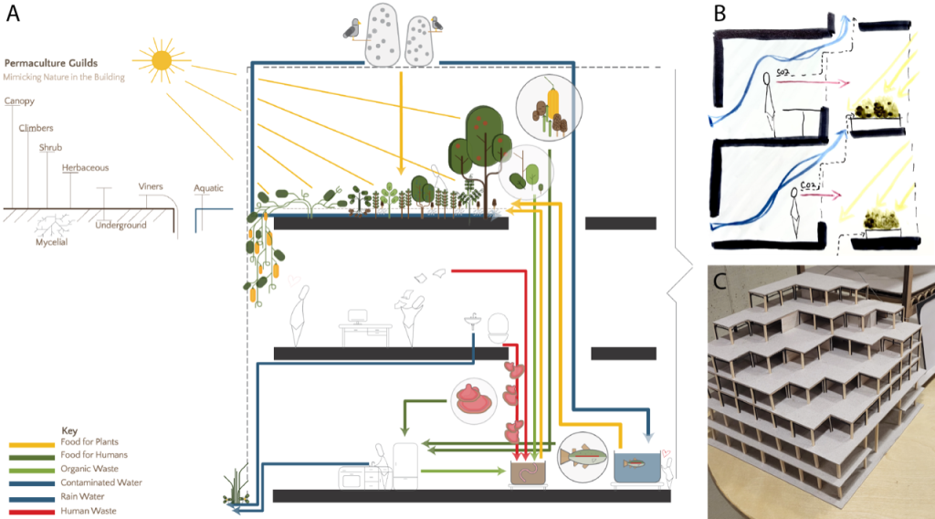 A diagram with three parts. Part A shows ways to implement nature in a building, Part B is a drawing of the building, and Part C shows the building plan made of wood.  