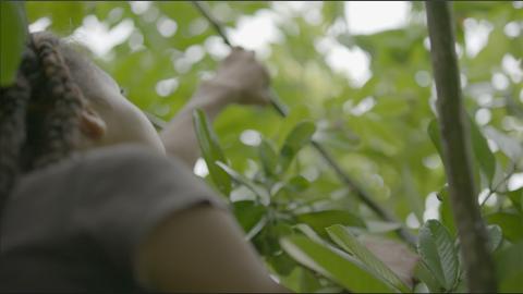 A girl holding a tree branch and looking up.