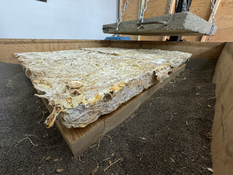 a slab of mycelium based materials 