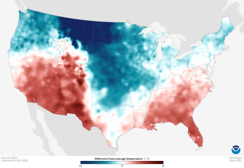 Map of the United States showing data from February 2025. The map shows an increase in average temperature in the southeast and southwest and a decrease in the area over Montana and the Dakotas.