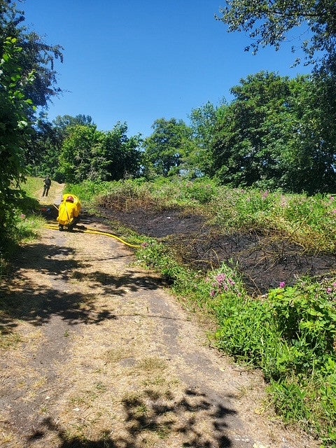 Photo of small area of burnt grass and small brush with a firefighter and hose.. 
