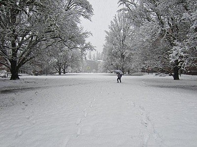 Snowstorm on campus