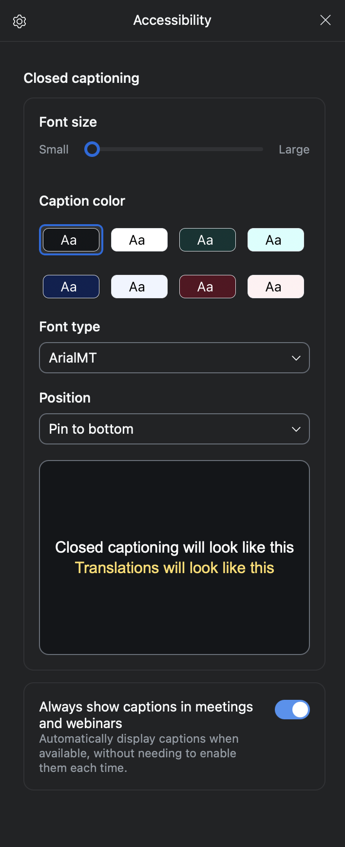 Settings screen, Accessibility options