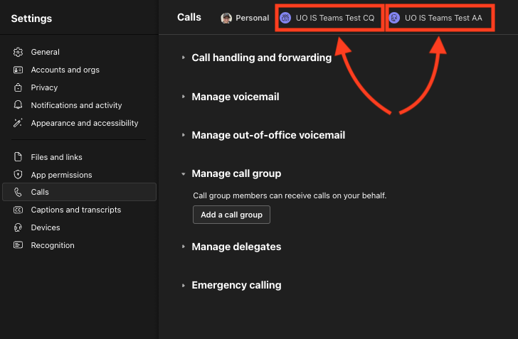 Queue and Auto attendant tabs