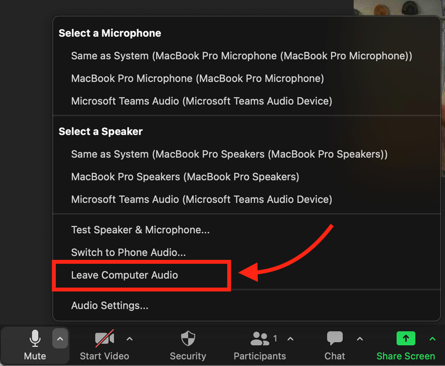 Select Leave Computer Audio
