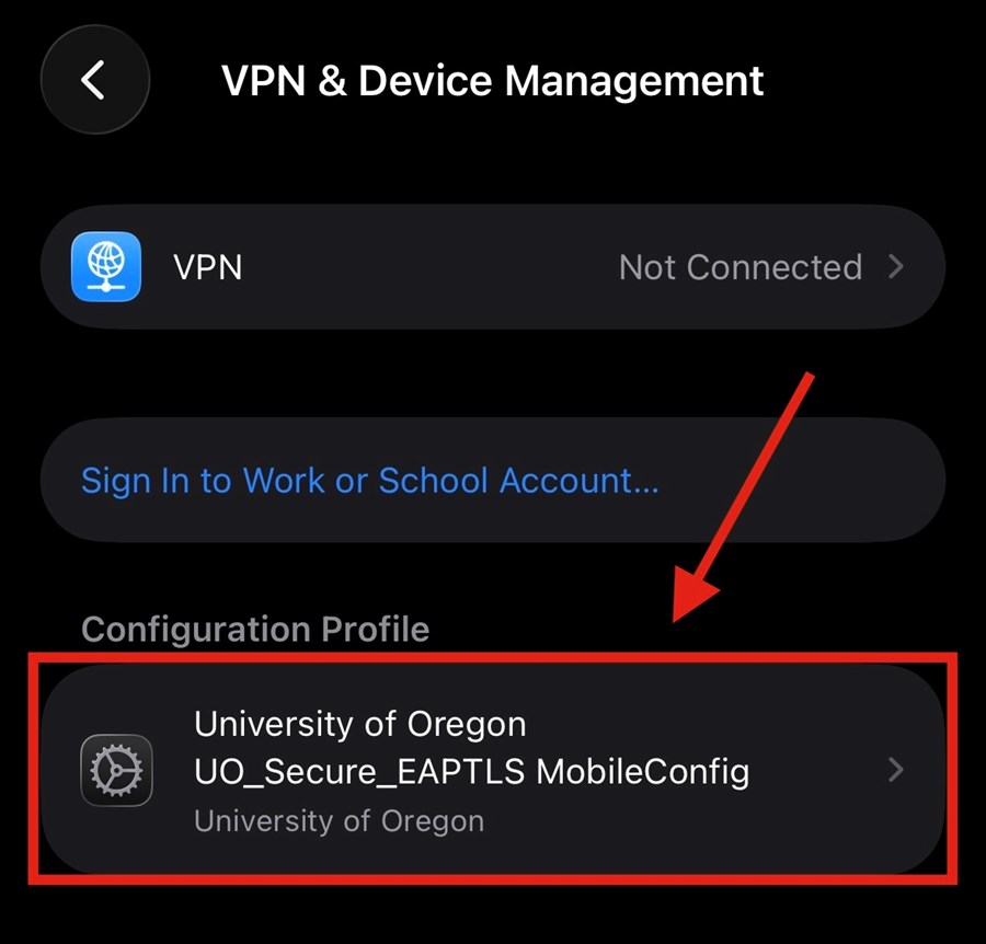 VPN & Device Management example