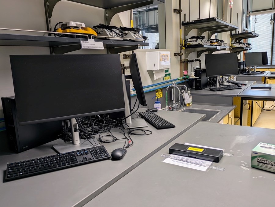 Image of Klamath lab with desktop on counter 