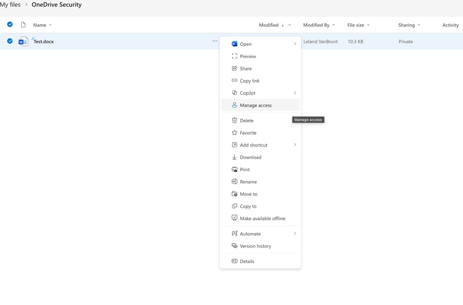 OneDrive security window