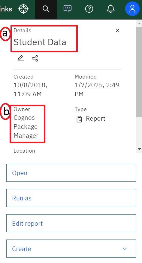 The Details pane of the Cognos report, highlighting the report name and owner.