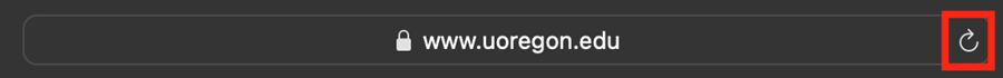 Safari address bar