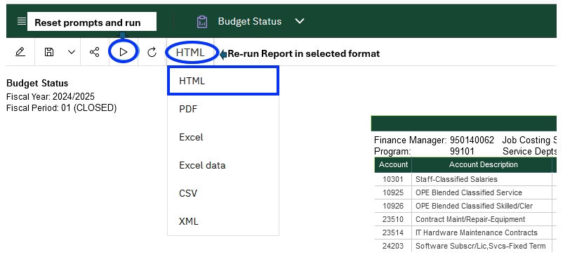 Report rerun options