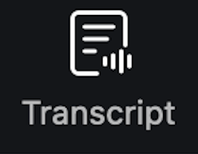 Zoom Transcript icon
