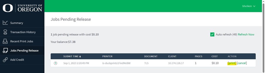 A user's print jobs waiting to be released from campus virtual printing queues.