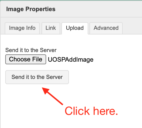 Upload tab of the Image Properties box shown with Send it to the Server button highlighted.