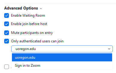 Zoom Desktop App Advanced Options settings
