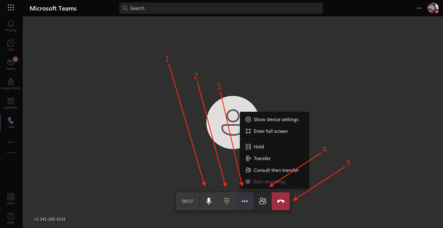 Teams Calling web version with call options highlighted