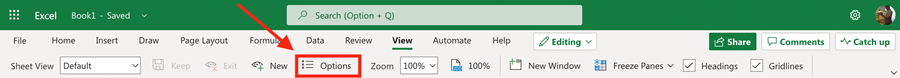 The Sheet View Options button