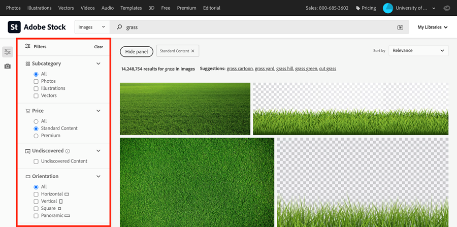 Adobe Stock results list with filter panel visible and highlighted