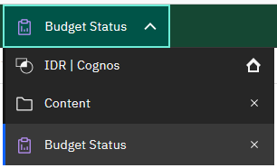 Cognos Content Switcher