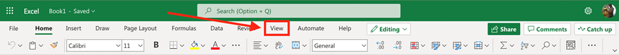 Excel Ribbon Menu with View tab highlighted