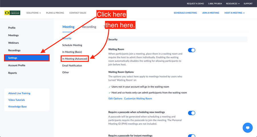 Click on Settings, then Meeting, then In Meeting (Advanced)