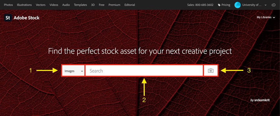 Adobe Stock Home Page with 1. Content Type, 2. Search Field, and 3. Search by image highlighted