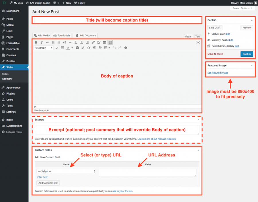 Slide editor guide (highlighting the title, body of caption, excerpt, custom fields, and featured image sections in the UO Blogs WordPress editor)